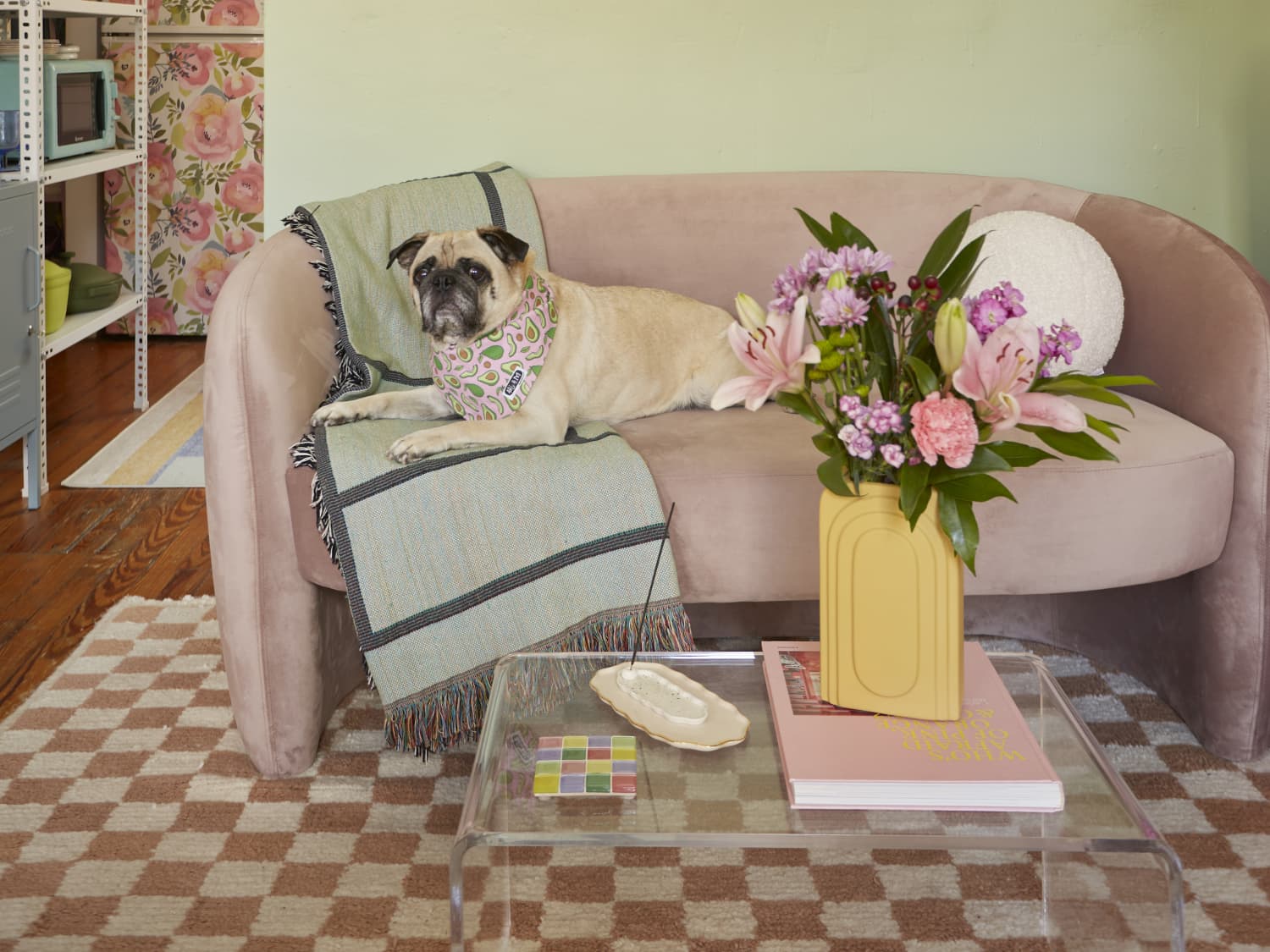Pug apartment sale dog